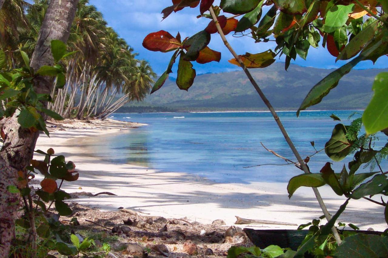 Jasmine La Playita - Ocean Front Apartment Las Galeras Exterior foto