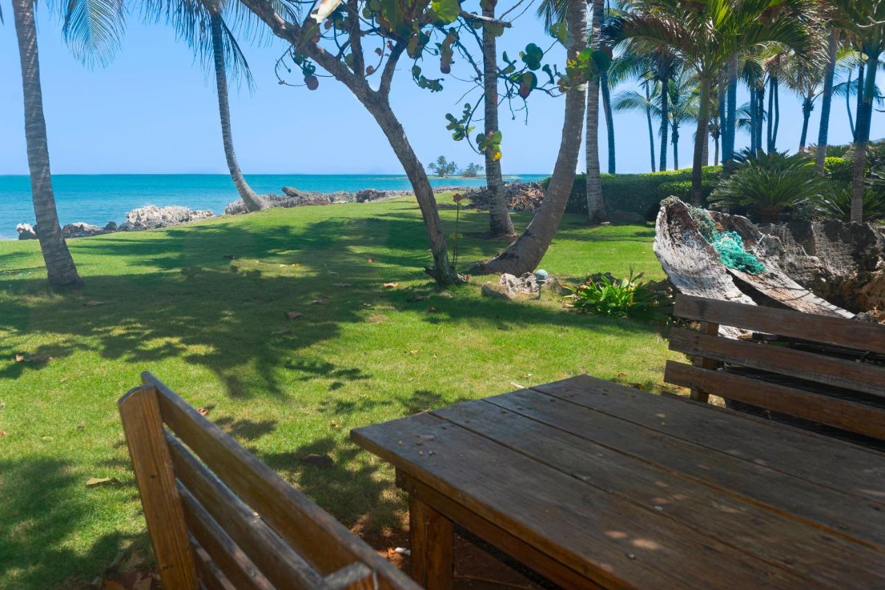 Jasmine La Playita - Ocean Front Apartment Las Galeras Exterior foto